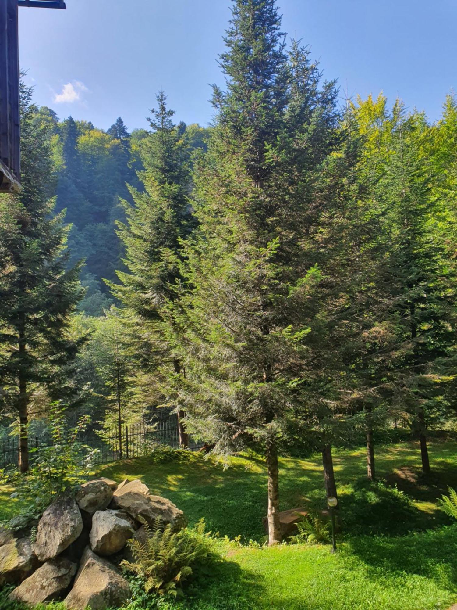 Садиба Nad Prutom Jaremcse Kültér fotó